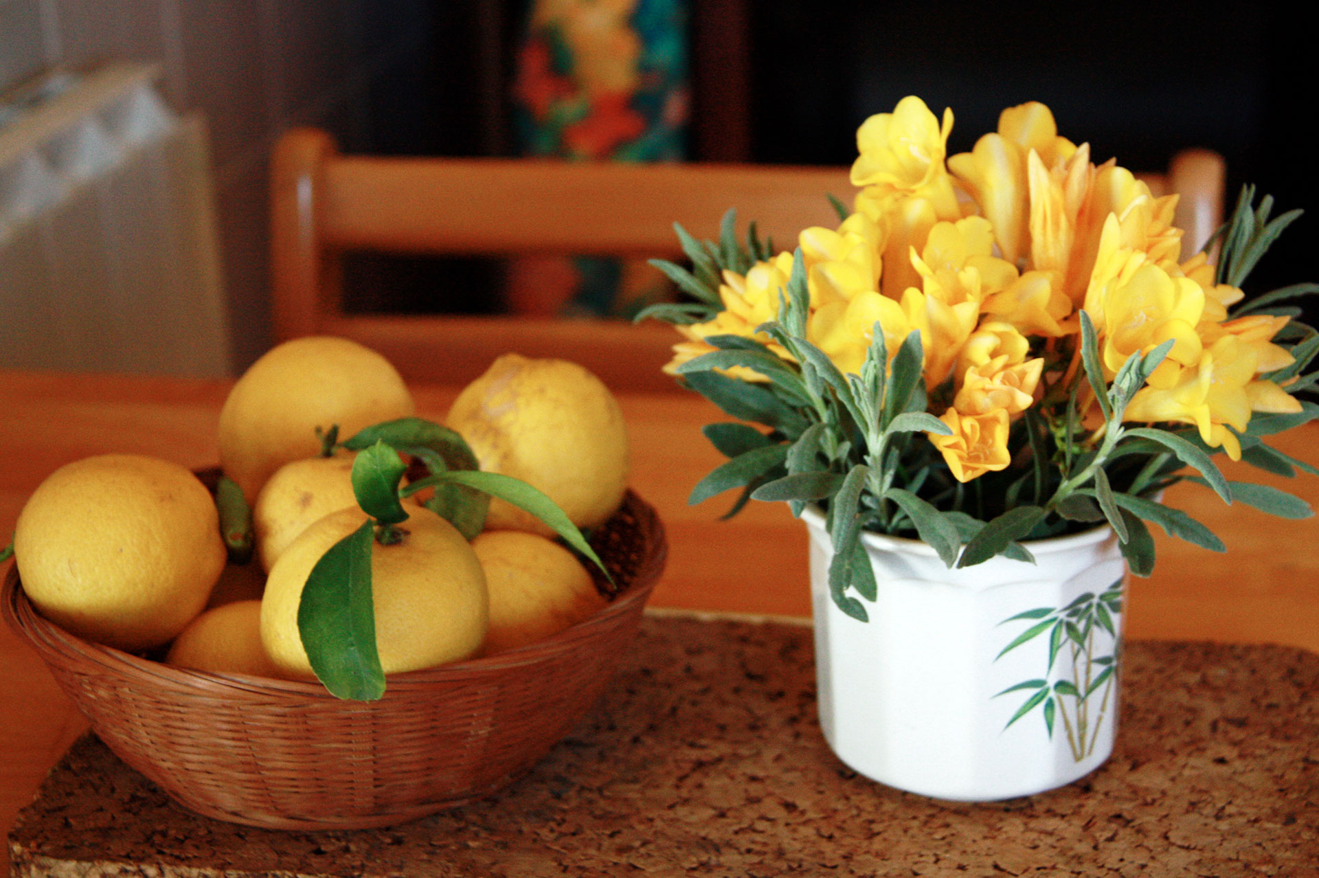 limon-aljuk-photos-alastair-johnson-photographer
